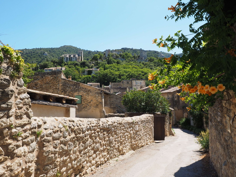 architecture, places of interest, growth, tree, france, sunlight, department of vaucluse, plant, notre dame de dolidon, clear sky, building exterior, community