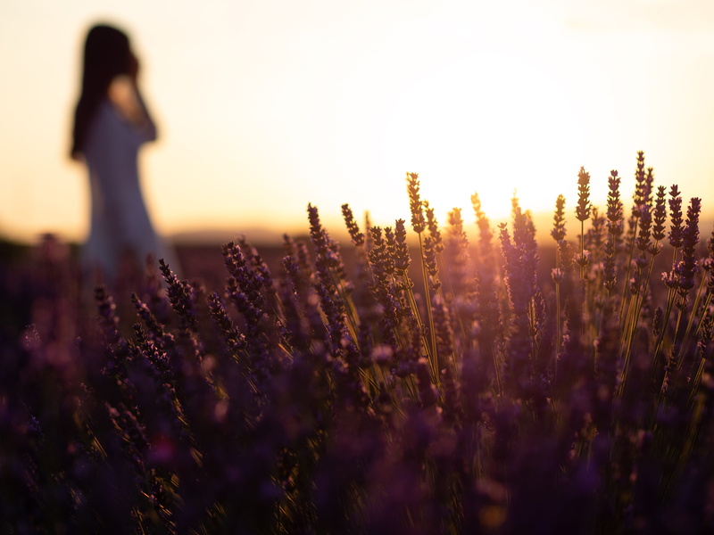 beauty, dawn, purple, marseille, lavande field, hd, alpe, flowering plant, wellbeing, nature, 4K, freshness, adult, outdoors, hairstyle, person