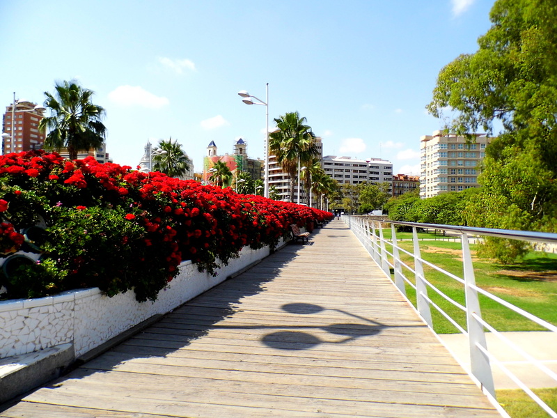 outdoors, sunny, direction, shadow, flowering plant, plant, cloud - sky, growth, city, puente de los flores, valencia, footpath, architecture, day, nature