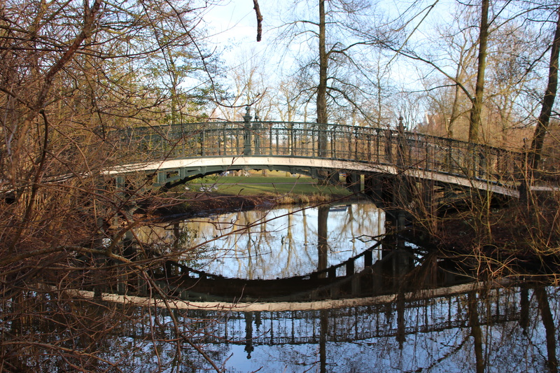 tree, puente, parque, river, water, built structure, branch, park, connection, trees, day, no people, reflection, bridge, bare tree, netherlands, 5K, transportation