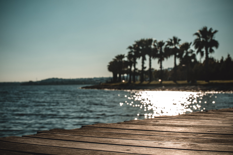 sea, clear sky, light, 5K, gray, beach, tranquil scene, seashore, sunset, no people, wooden, dawn, landscape, seaside, outdoors, sunlight, palm tree, palm trees