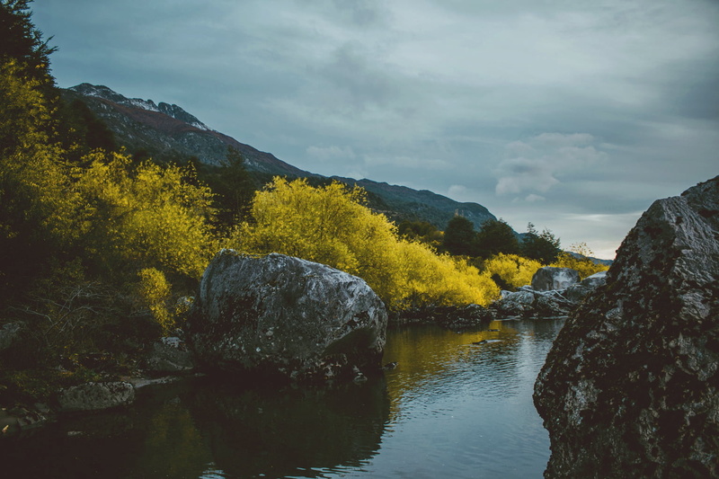 water, LR, landscape, 720P, nature, Dry the river, outdoors, forest, tree, scenics, autumn, stone, mountain, grey