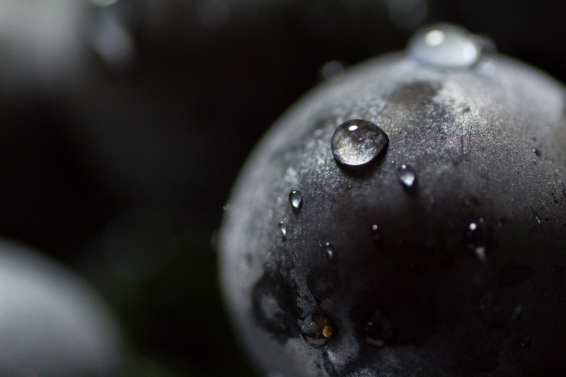 selective, nature, berry Fruit, Japan, lightroom, Kanagawa, ripe, dessert, tamron, drop, food, droplets, lr, close-up, マクロ, leaf, black, healthy Eating