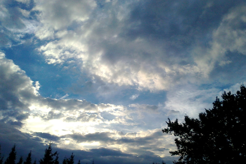 idyllic, sky, weather, sunset, summer, outdoors, scenics - nature, day, treetop, tranquility, no people, beauty In Nature, cloudscape, cloud - Sky, august