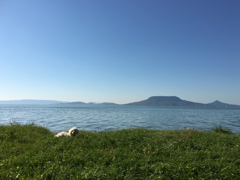 sky, mountain, copy space, landscape, nature, no people, tranquility, sea, august, tranquil scene, beauty in nature, scenics, green color, plant, water