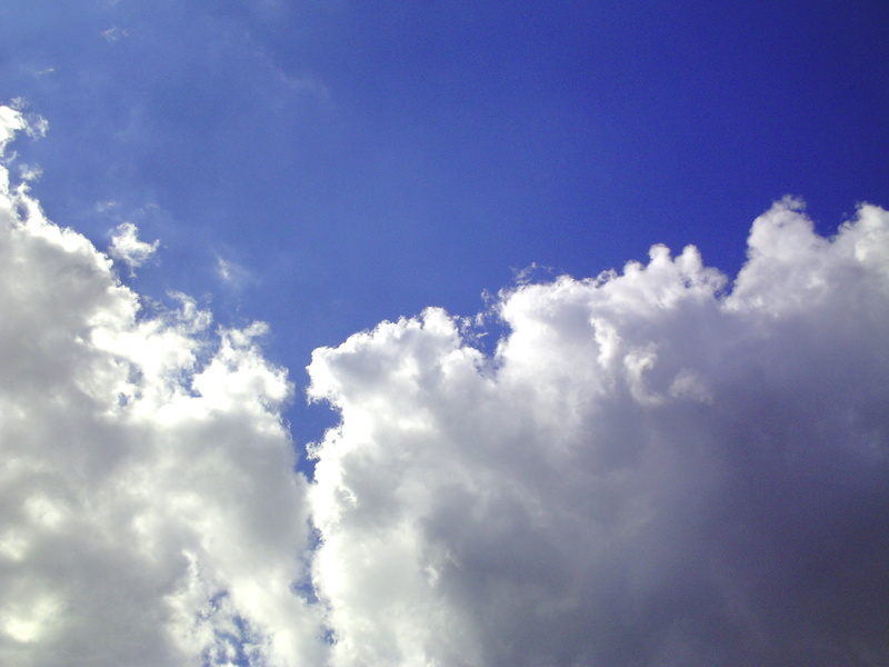 wind, sky, sunlight, scenics - nature, softness, summer, cloud - sky, cloud of bunch of, in the middle, clean, no people, overcast, nature, fluffy, most