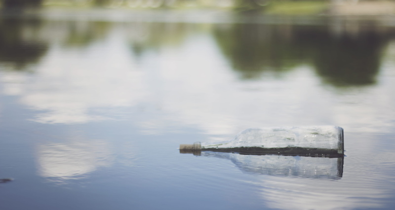 non-urban scene, august, no people, pond, nature, beauty in nature, reflection, scenics - nature, blue, 4K, day, floating on water, focus on foreground