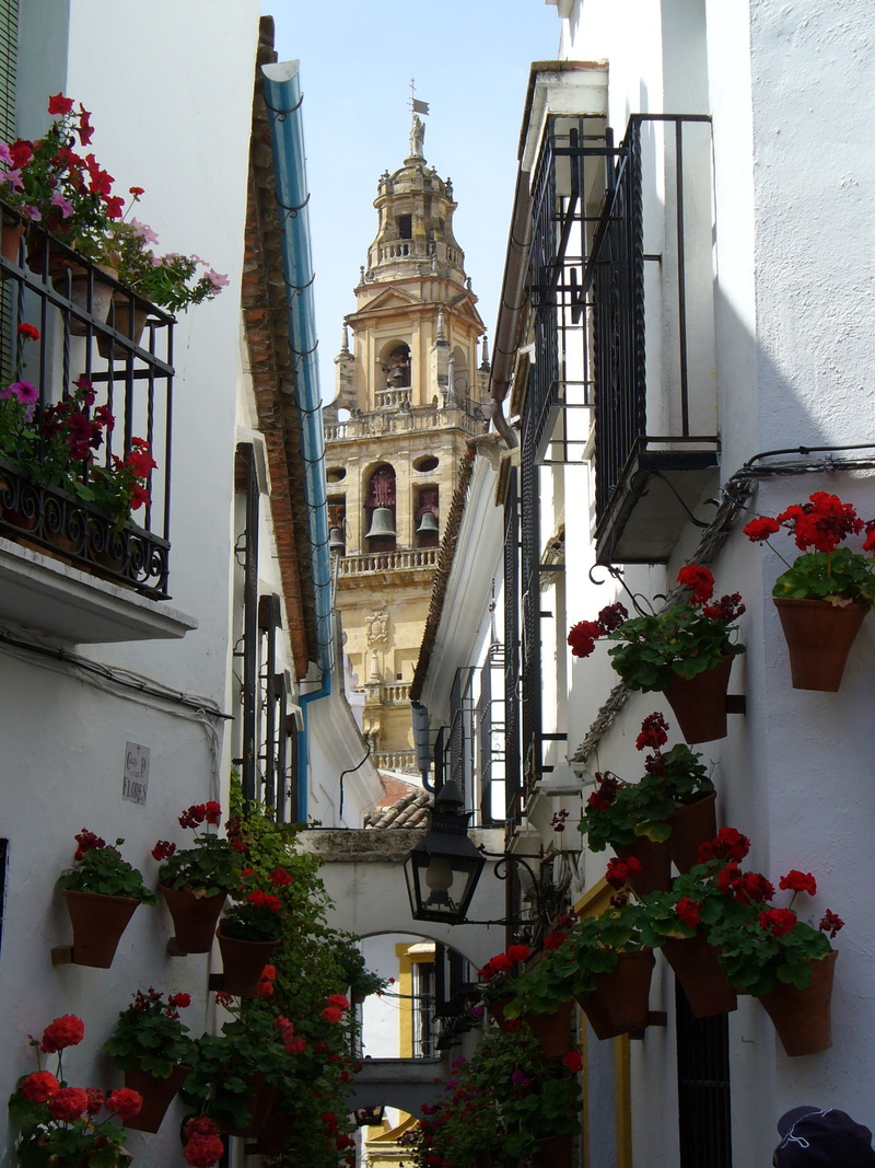 building, building Exterior, andalusia, places of interest, outdoors, no people, day, potted plant, clock, residential district, low angle view, belief