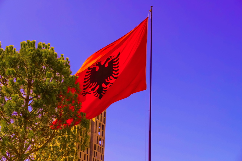 blue, 5K, clear sky, patriotism, wind, environment, sky, flag, tirana, albanian, nature, day, chinese new year, outdoors, plant, flower, multi colored