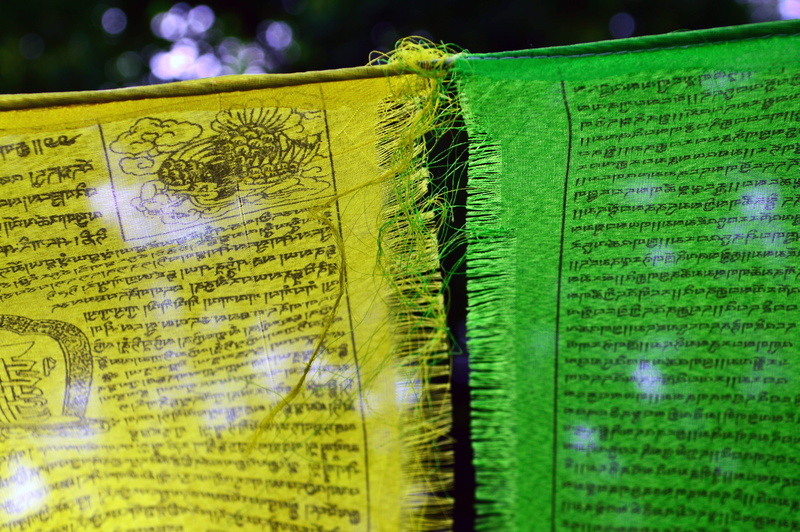 selective focus, symbol, plant part, 5K, sample, outdoors, spiritual, celebration, communication, green color, script, reference material, western script