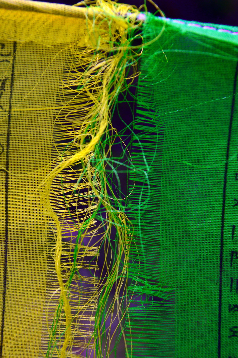 celebration, speed, fabric, indian, hinduism, multi colored, connection, decoration, green, prayer, chinese, spiritual, buddha, symbol, sample, full frame