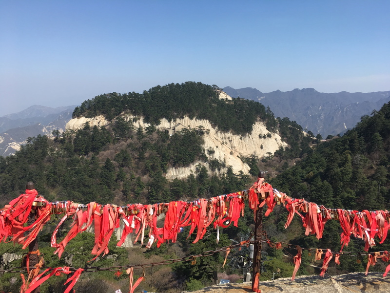 landscape, 4K, wish, tree, nature, religion, hanging, the chains, pinus armandii, scenics - nature, tranquility, mountain, belief, chinese lantern, beauty in nature