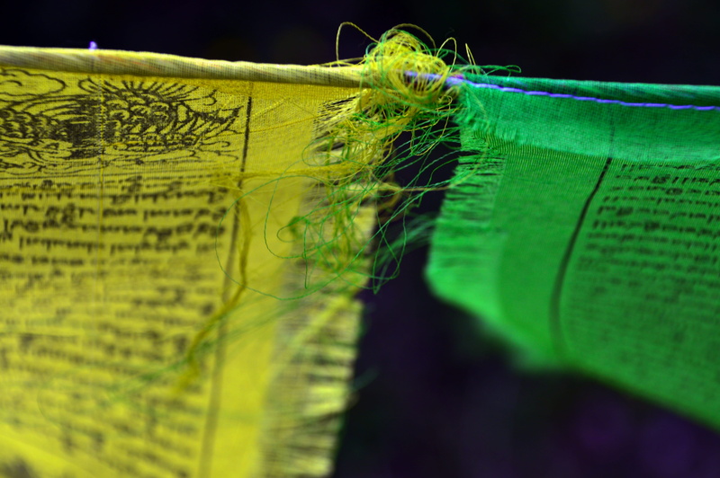 selective focus, no people, green, green color, sport, sample, indoors, indian, torn, prayer, design, fabric, publication, zaszlo, fragility, 5K, reference material
