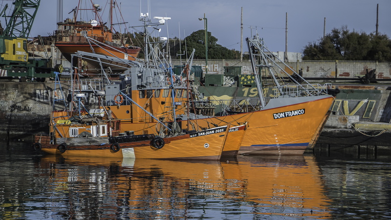 calm, port, harbor, architecture, argentina, mode of transportation, marina, mar del plata, built structure, pole, water, day, fishing industry, moored