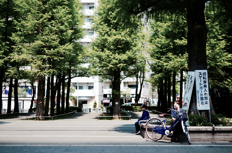 building, tree trunk, architecture, growth, bicycle, urban, built structure, land vehicle, 4K, banner, group of people, road, plant, outdoors, street