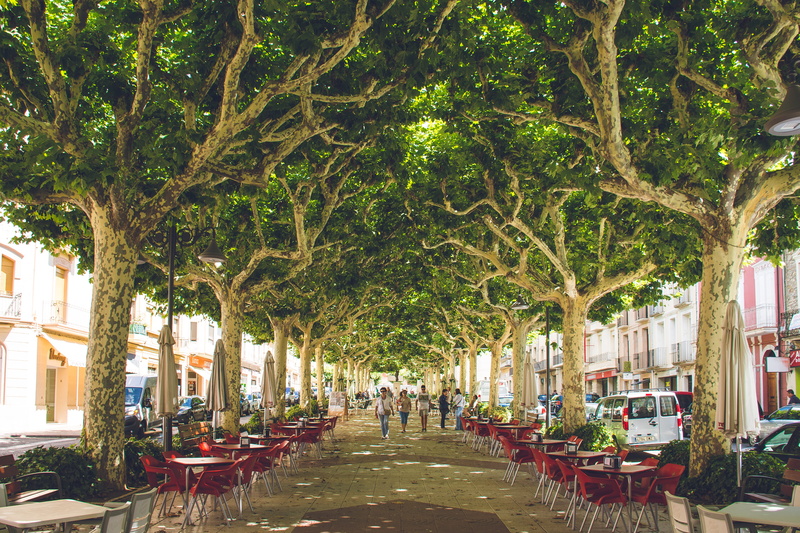 park, seats, real people, tree trunk, growth, modern, in a row, incidental people, daytime, trees, street, urban, day, cafe, architecture, plant, crowd