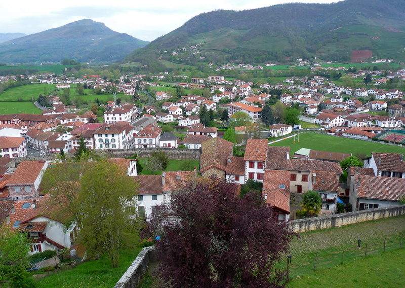 france, townscape, plant, house, outdoors, roof, europe, mountain, basque country, built structure, town, 2K, residential district, tree, building, no people