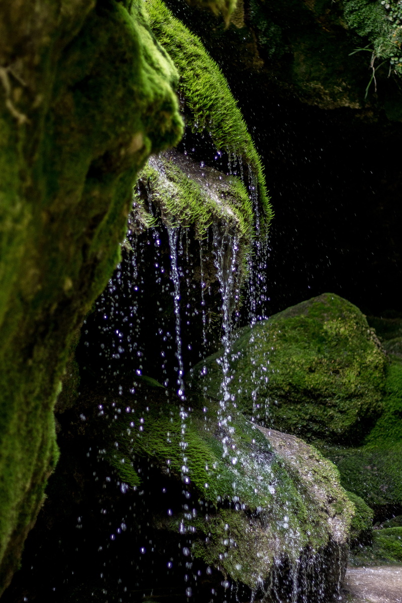 beauty in nature, forest, plant, water, waterfall, growth, spraying, flowing water, green color, no people, green, lake, river, tree, motion, urederra
