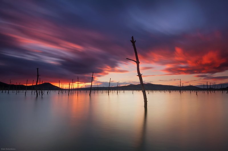 sea, euskadi, dusk, silhouette, sticks, death, sunset, araba, landa, álava, pantano, sky, body of water, body, water, wooden, 1080P, dance, nature