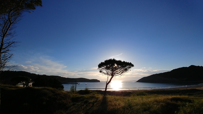setting sun, 4K, landscape, mountain, travel destinations, tranquil scene, non-urban scene, euskadi, tree, coniferous tree, tranquility, scenics - nature