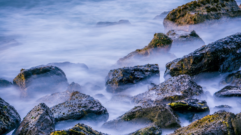 nature, wave, wave sea, motion blur, beauty In Nature, Slow Motion, sea, tree, scenics, Rock, sky, seascape, stone - Object, color, scenics - nature, Stone