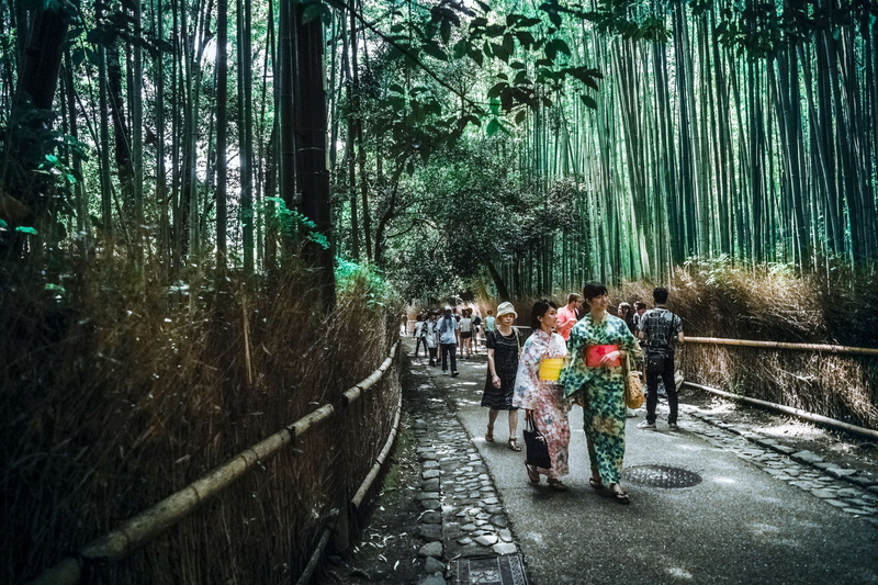 the way forward, pavement, nature, bamboo trees, tree, togetherness, lifestyles, japan, men, environment, outdoors, water, direction, group of people, scenic