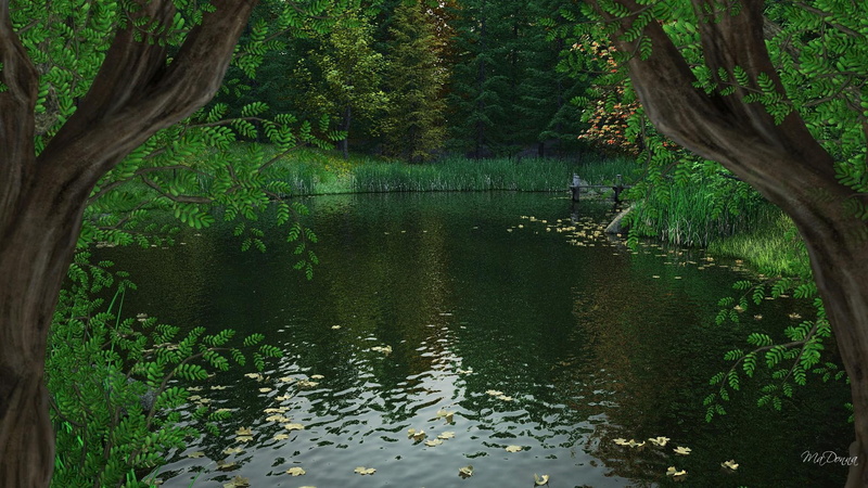 green, color, creek, woods, river, 1080P, firefox persona, 3d and abstract, fall, stream, autumn, forest, dropping