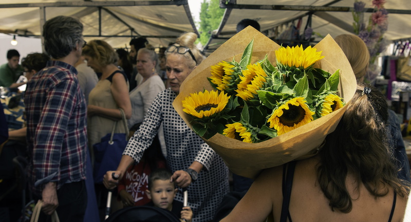 humans, incidental people, good mood, flower, amsterdam, sunny, hub, 5K, group of people, netherlands, real people, men, vulnerability, fragility, sunflowers