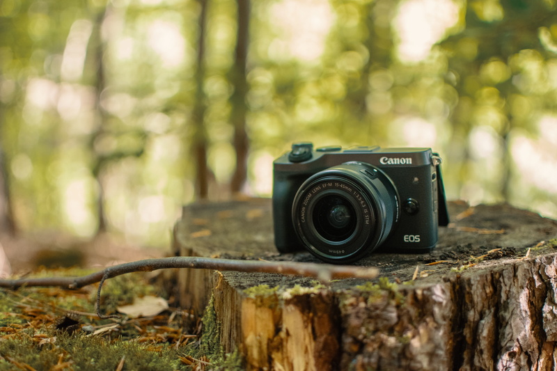 photography, activity, outdoors, no people, photography themes, slr, eos, branch, canon, camera, wood, slr camera, tree, photo, land, photographic equipment