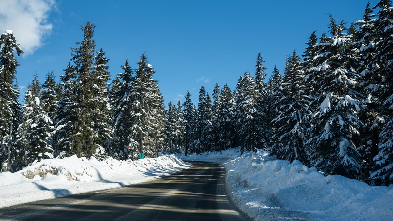 day, nikon, sunlight, sky, d750, coniferous tree, blue, highway, nature, cold temperature, pemberton, trees, tranquility, roadtrip, scenics - nature, snowcapped mountain