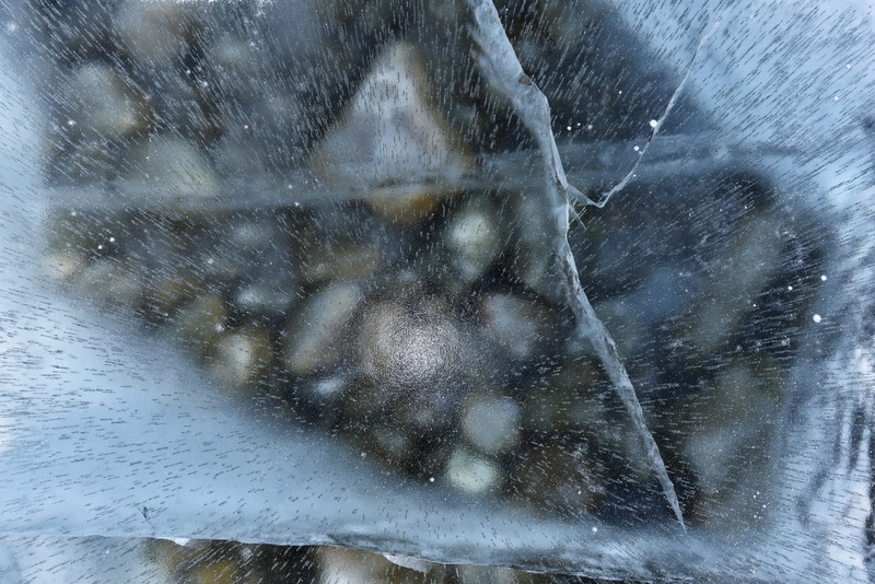 outdoors, cool, animal wildlife, golfarisa, motion, ice, water, stone, russia, background, texture, focus on foreground, baikal, nature, one animal, animal