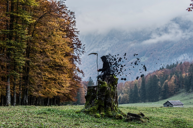 5K, sitting, landscape, chemtrails, photography, tree, creative  commons, underground, Wake Up, kenFM, War, wendelin, nature, haarp, Its Time, forest