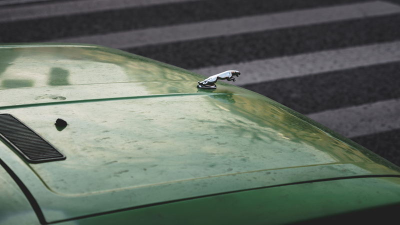 green color, 5K, land vehicle, insect, road, green, jaguar, boat, car, mode of transportation, st petersburg, close-up, day, invertebrate, brand, old