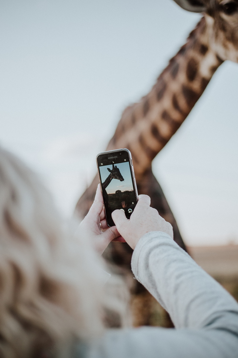 instagram, hand, photo messaging, activity, wireless technology, cell phone, focus, mobile phone, animal, photography themes, people, photographer, person