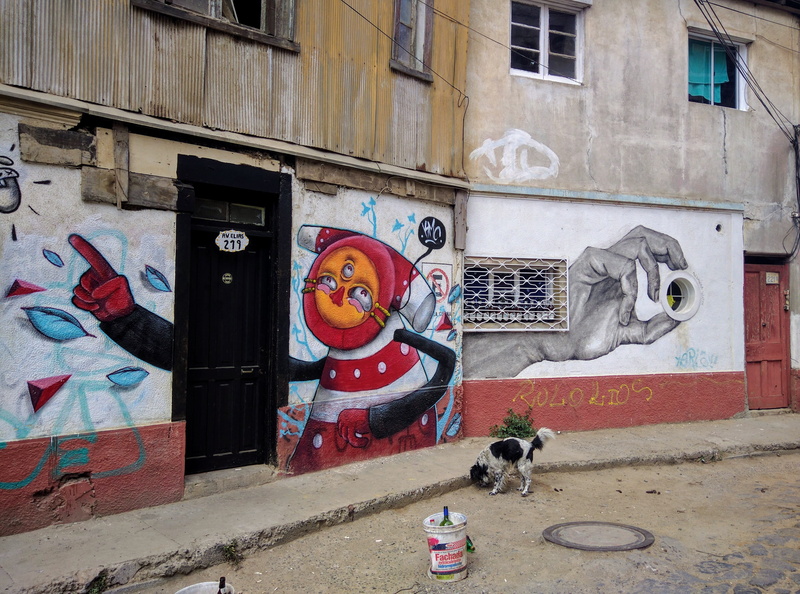 no people, graffiti, architecture, pets, 4K, animal themes, outdoors, animal, day, valparaiso, wall - building feature, one animal, built structure, representation