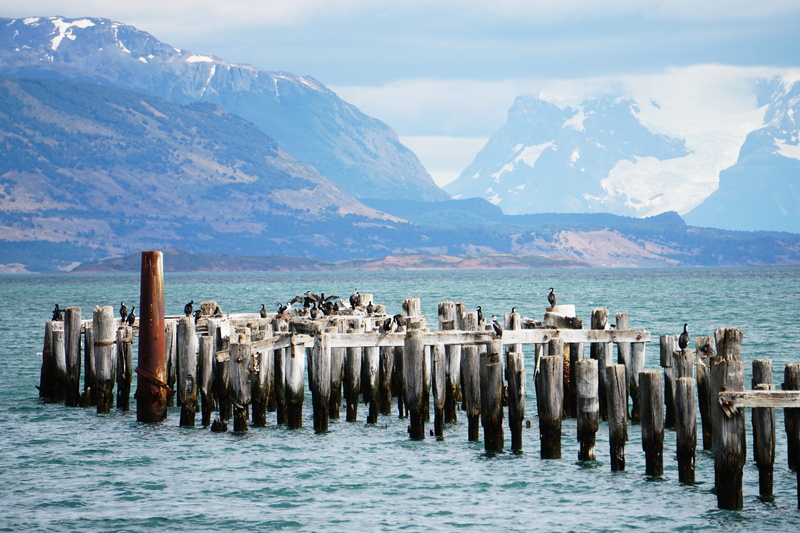 posts, dock, mountain, pants, architecture, nature, plank, 5K, scenics - nature, day, tranquility, port, pier, animal, near, rust, outdoors, bird, aquatic