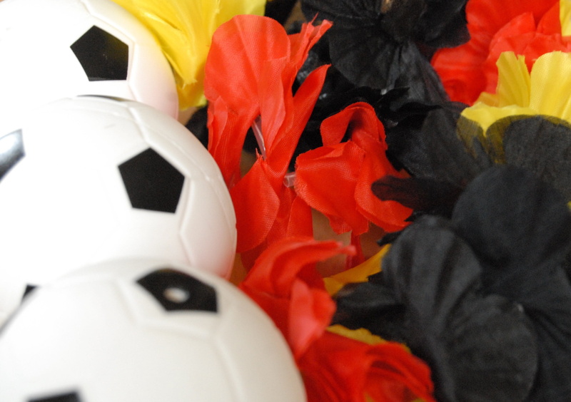 flower chain, no people, indoors, flower head, plant, soccer world cup, petal, flag, germany, 2K, nature, world championship, sport, flower, fan, still life