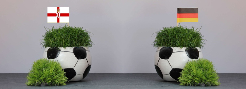 studio shot, no people, nature, humorous, play germany, sport, plant, em, day, grass, football, uefa european f, patriotism, indoors, france, northern ireland