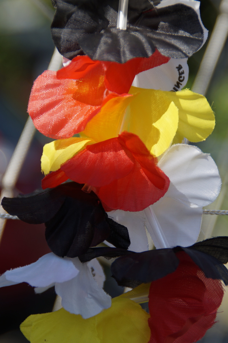 yellow, 5K, flower, fifa worldcup, fragility, black red gold, focus on foreground, plant, red, football world cup, close-up, beauty in nature, growth