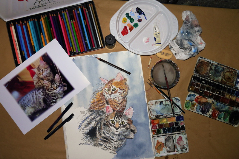 human representation, Life, directly above, 4K, domestic cat, variation, publication, arrangement, paint, brown, bund pins, large group of objects, template