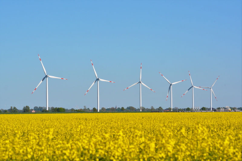 renewable energy, beauty in nature, nature, field of rapeseeds, sustainable resources, dollart, fuel and power generation, wind power, flower, power supply