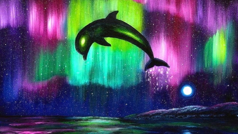 720P, full length, animals in the wild, animal, multi colored, water, glowing, no people, Delphine, motion, Bund, nature, long exposure, creativity, arts culture and entertainment