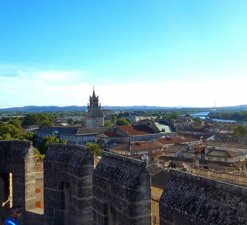 palais des papes, belief, religion, city, ville, toits, the past, vue du palais des papes, avignon, travel, day, history, high angle view, no people, rhone