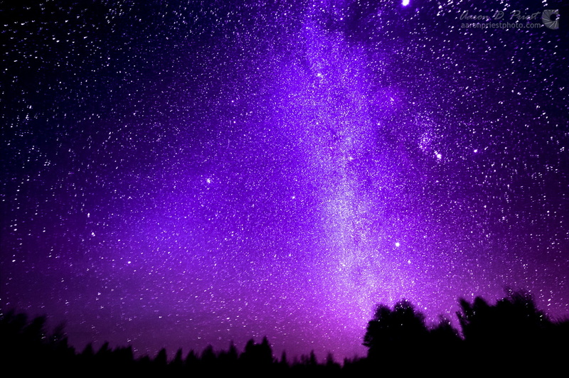 scenics - nature, no people, tree, star field, nature, illuminated, silhouette, night, 1080P, galaxy, space, star, tranquility, tranquil scene, plant