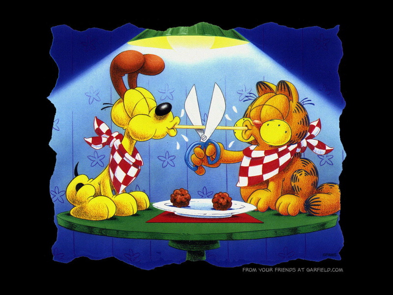 garfield screensaver, garfield, 480P, garfield  hd, garfield computer