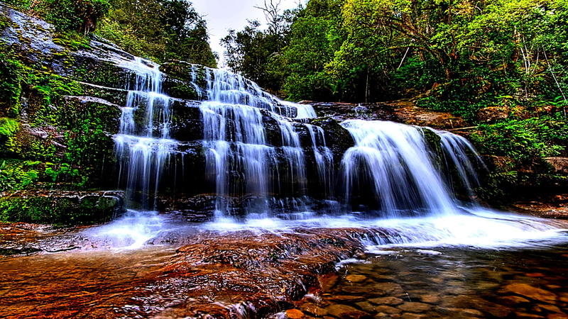 flowing water, woodland, 1080P, scenics - nature, no people, motion, rock - object, flowing, waterfall screensavers and backgrounds, waterfall, splashing