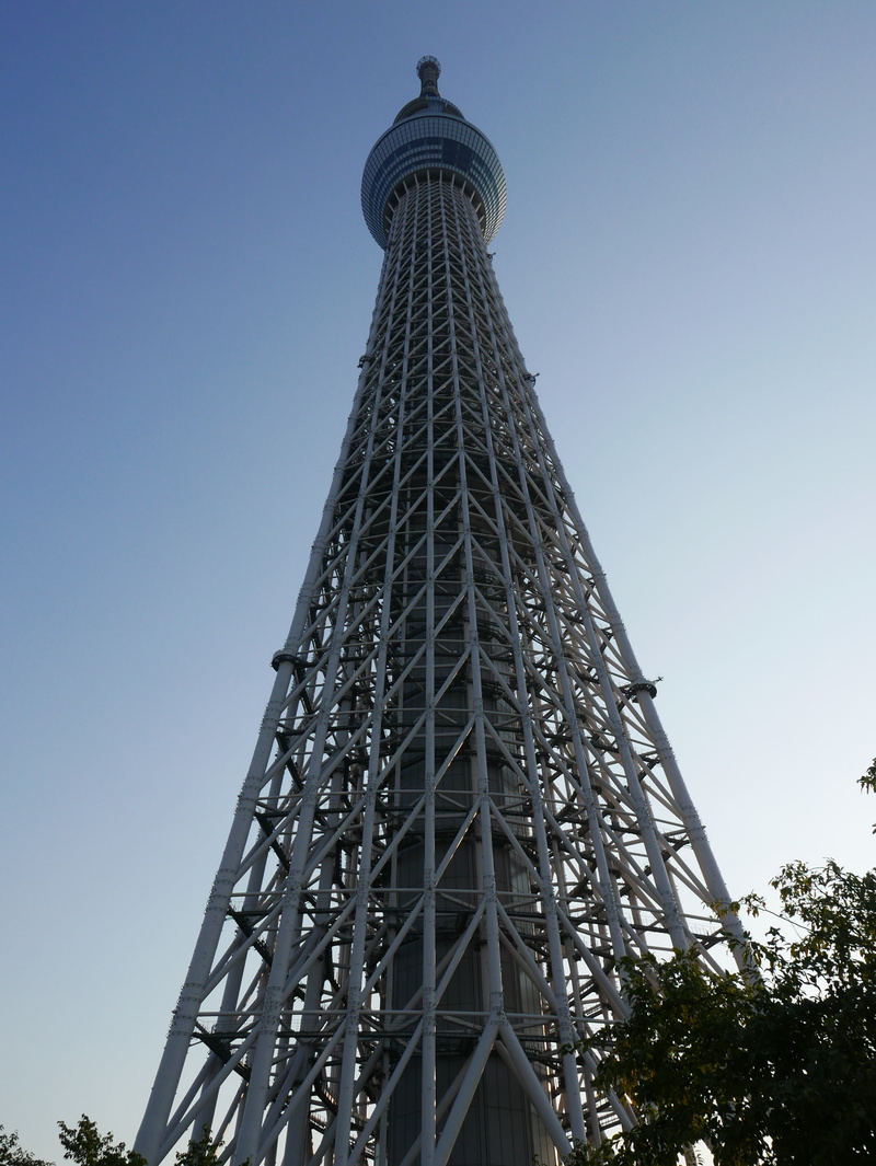 tall, plant, built structure, metalic, skyscraper, tall - high, big, low angle view, tree, tourism, building exterior, sky, tall building, spire, clear sky
