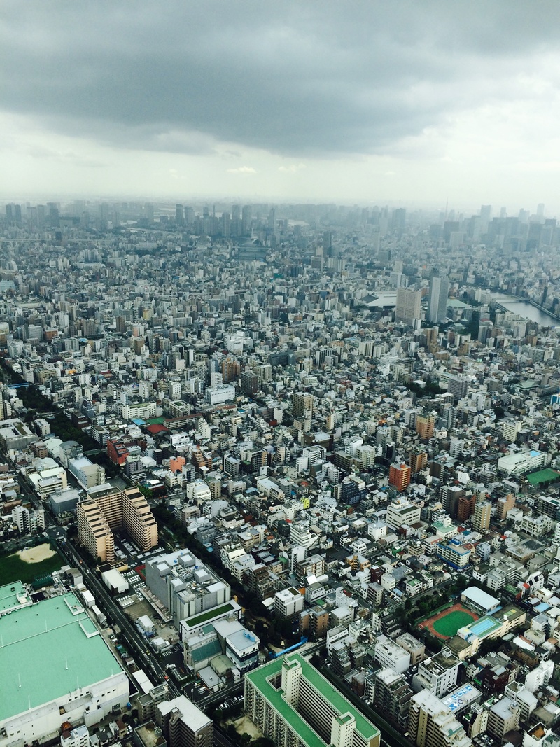 city, cloud - sky, crowded, birds eye view, day, 2K, building exterior, aerial view, settlement, business, residential district, outdoors, sky, crowd