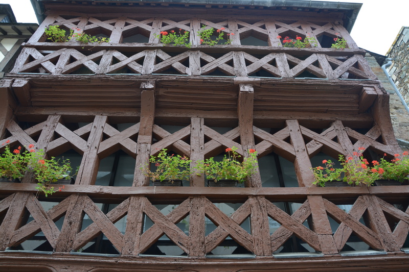 flowering plant, flower pot, window, old house, potted plant, tourist town, wood, flower, low angle view, tréguier, nature, house, brittany, wood - material