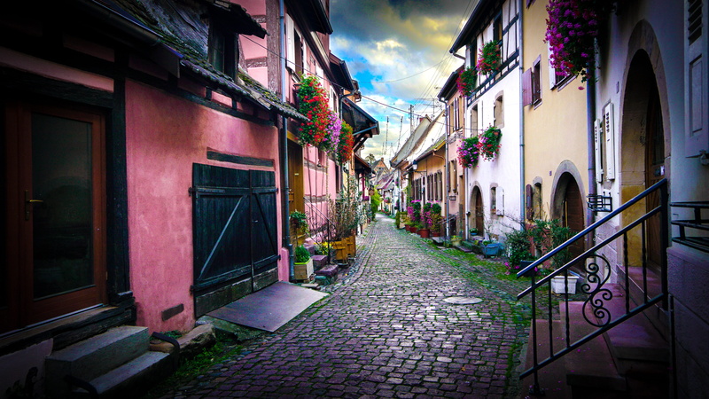 french, nature, plant, france, rose, no people, architecture, color, traditional design, alley, colmar, window, residential district, building exterior
